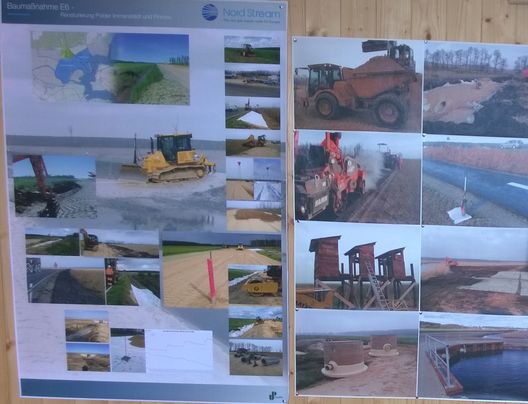 Die Nord Stream AG stellte die Renaturierungsarbeiten in den Polderflächen von Pinnow und Immenstädt vor