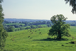 glrp_mmr_meckl_schweiz_kl.jpg