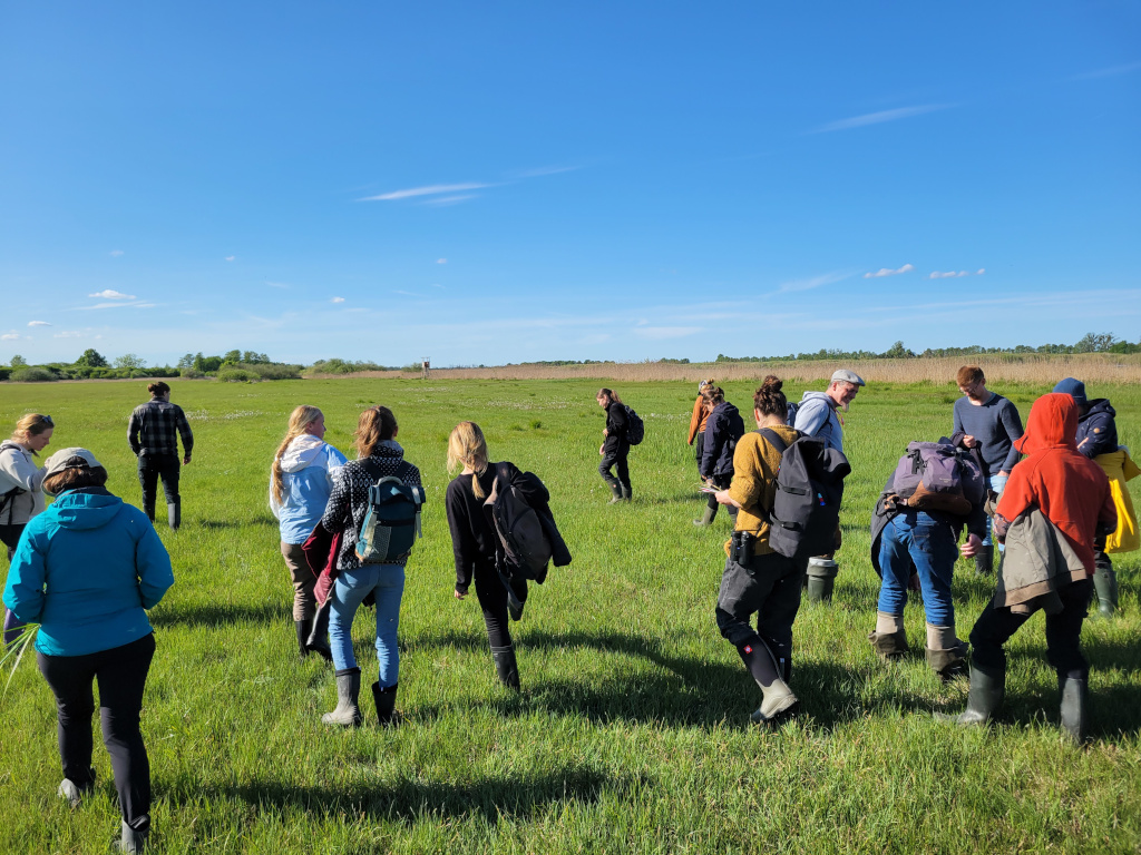 Eine Gruppe von Menschen wandert durch eine grüne Wiese an einem sonnigen Tag.