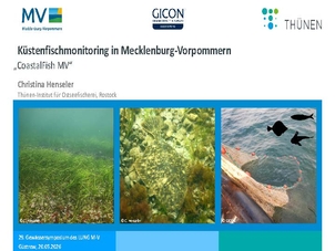 Vorschaubild Vortrag 2 - Henseler