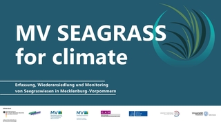 Vorschaubild Vortrag 7 - Seagrass for climate